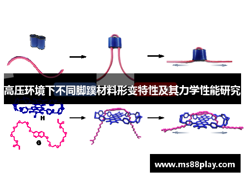 高压环境下不同脚蹼材料形变特性及其力学性能研究